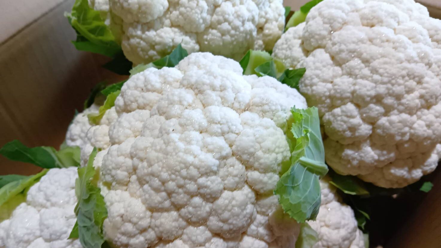 カリフラワー