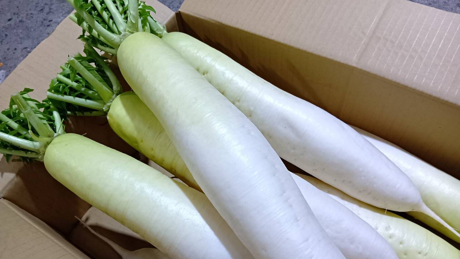 大根