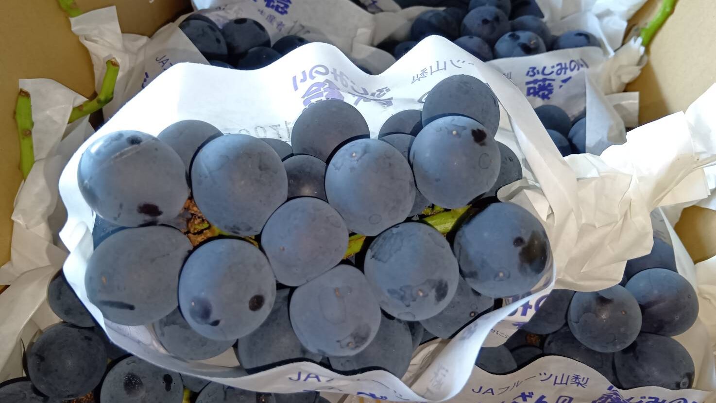 藤稔