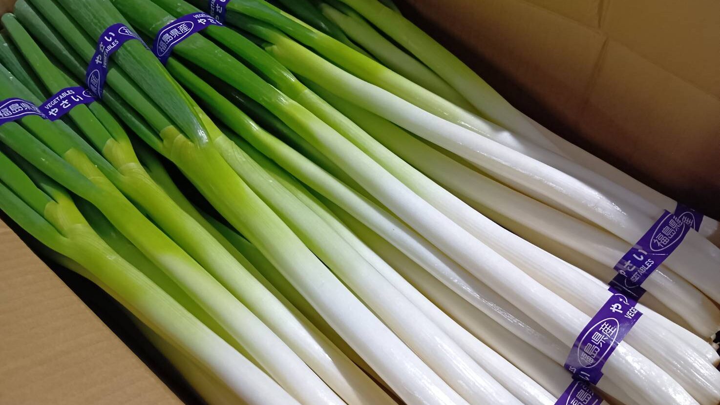 ねぎ