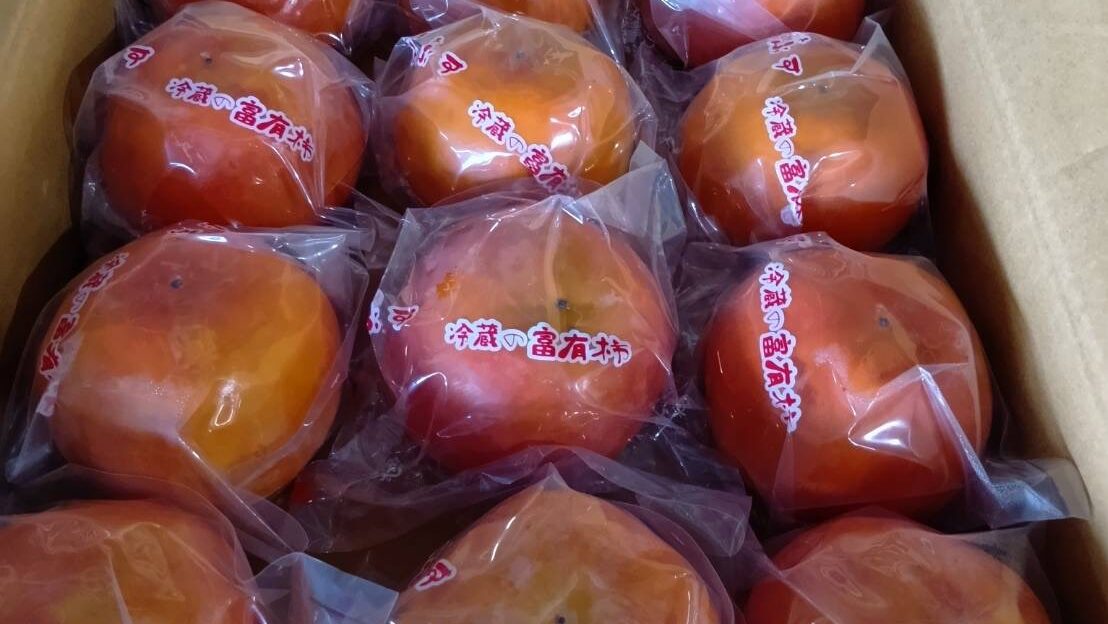 冷蔵富有柿